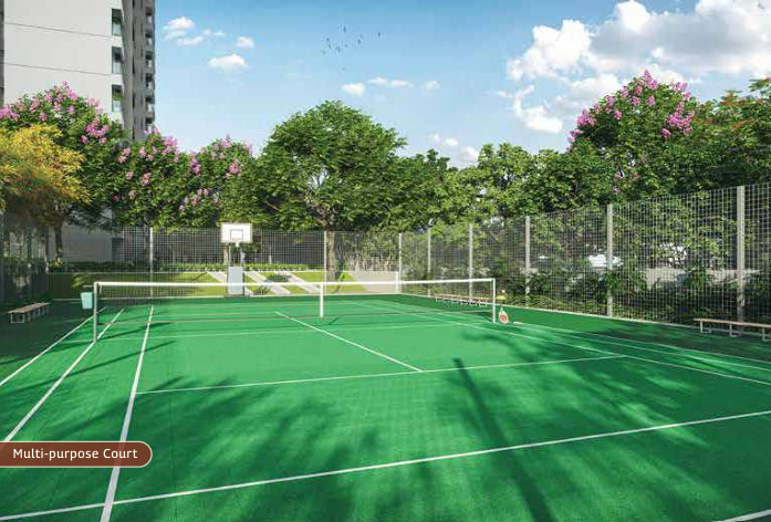 Multi-purpose Court